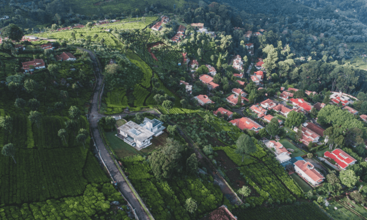 Coonoor Estates