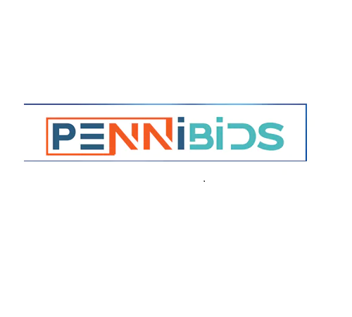 PenniBid Holdings LLC