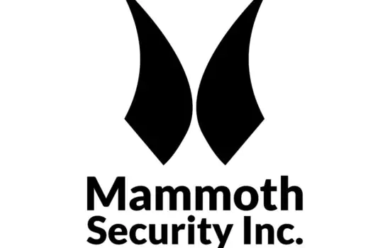 Mammoth Security Inc. New Haven