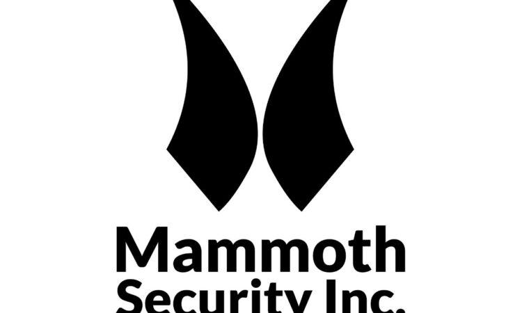 Mammoth Security Inc. New Haven