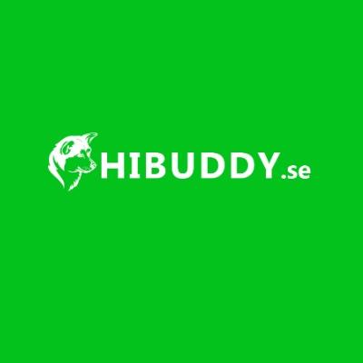 Hi Buddy Sweden AB