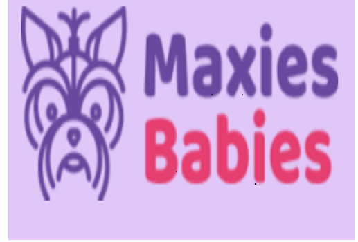 Maxies Babies