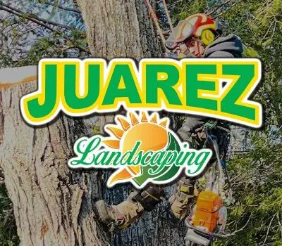 Juarez Landscaping and Tree Services