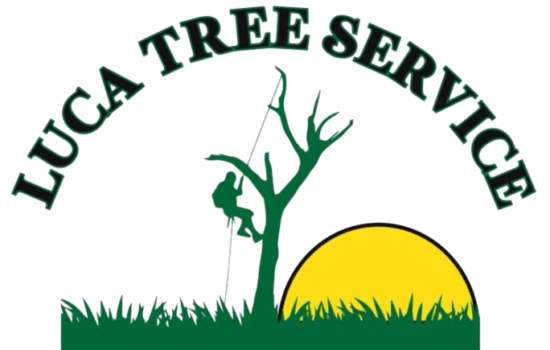 Luca Tree Service