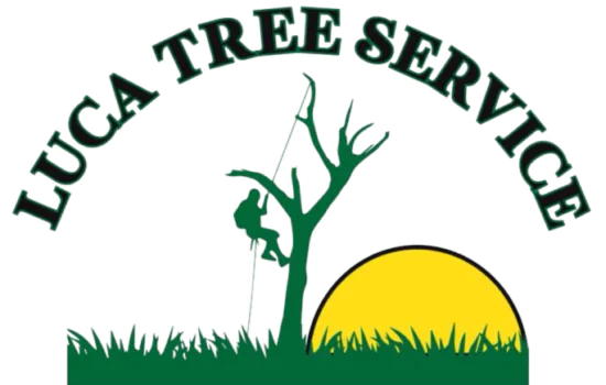 Luca Tree Service